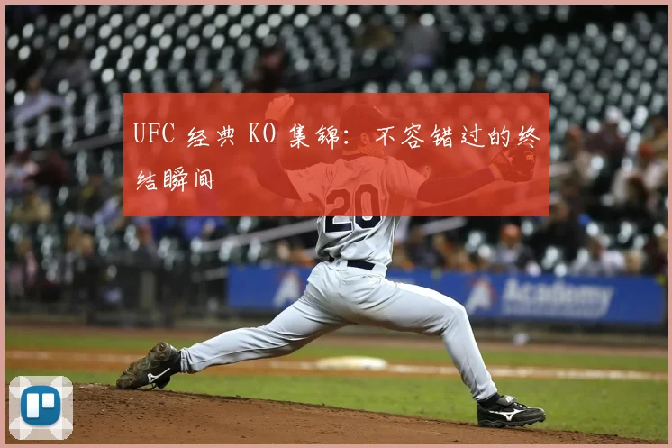 UFC 经典 KO 集锦：不容错过的终结瞬间
