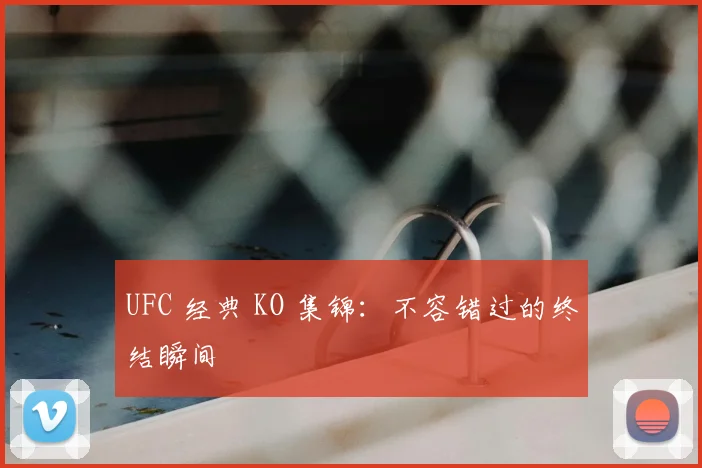 UFC 经典 KO 集锦:不容错过的终结瞬间