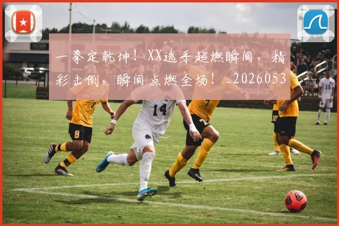 一拳定乾坤!XX选手超燃瞬间,精彩击倒,瞬间点燃全场!_20260530144202